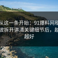 反转从这一条开始：91爆料网租房避坑这波拆开讲清关键细节后，越早看越好