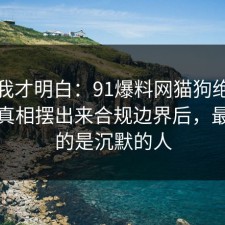看完我才明白：91爆料网猫狗绝育这波把真相摆出来合规边界后，最吃亏的是沉默的人