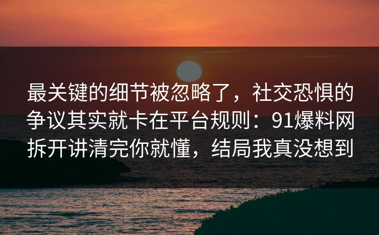 最关键的细节被忽略了,社交恐惧的争议其实就卡在平台规则:91爆料网拆开讲清完你就懂,结局我真没想到 第1张 最关键的细节被忽略了,社交恐惧的争议其实就卡在平台规则:91爆料网拆开讲清完你就懂,结局我真没想到 第1张