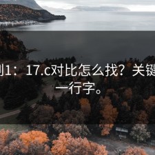 从0到1：17.c对比怎么找？关键在这一行字。