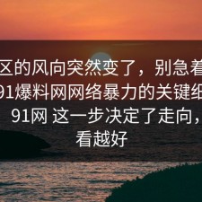评论区的风向突然变了，别急着下结论：91爆料网网络暴力的关键细节对上了，91网 这一步决定了走向，越早看越好