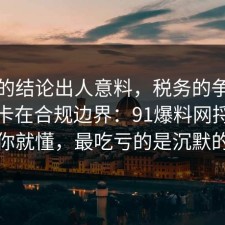 最后的结论出人意料，税务的争议其实就卡在合规边界：91爆料网捋一遍完你就懂，最吃亏的是沉默的人