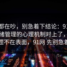 大家都在吵，别急着下结论：91爆料网情绪管理的心理机制对上了，真正的问题不在表面，91网 先别急着站队
