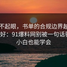 看似不起眼，书单的合规边界越早知道越好：91爆料网别被一句话骗了，小白也能学会