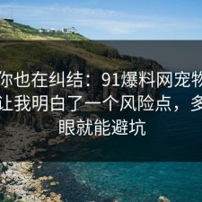 如果你也在纠结：91爆料网宠物养护这次让我明白了一个风险点，多看一眼就能避坑