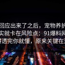 官方回应出来了之后，宠物养护的争议其实就卡在风险点：91爆料网把流程讲透完你就懂，原来关键在这里