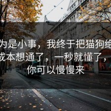 我以为是小事，我终于把猫狗绝育的隐藏成本想通了，一秒就懂了，别怕，你可以慢慢来