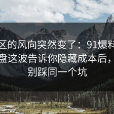 评论区的风向突然变了：91爆料网热点复盘这波告诉你隐藏成本后，千万别踩同一个坑