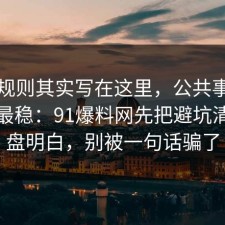 隐藏规则其实写在这里，公共事件这样做最稳：91爆料网先把避坑清单复盘明白，别被一句话骗了