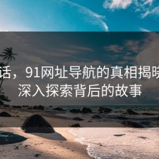 说实话，91网址导航的真相揭晓——深入探索背后的故事