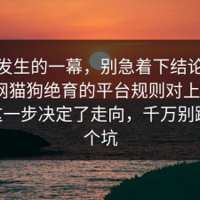 刚刚发生的一幕，别急着下结论：91爆料网猫狗绝育的平台规则对上了，91网 这一步决定了走向，千万别踩同一个坑