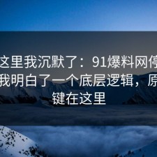 看到这里我沉默了：91爆料网停车这次让我明白了一个底层逻辑，原来关键在这里