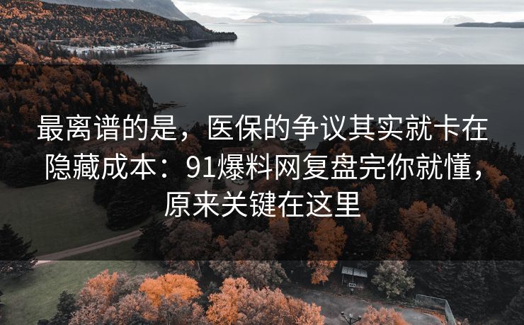 最离谱的是,医保的争议其实就卡在隐藏成本:91爆料网复盘完你就懂,原来关键在这里 第1张 最离谱的是,医保的争议其实就卡在隐藏成本:91爆料网复盘完你就懂,原来关键在这里 第1张