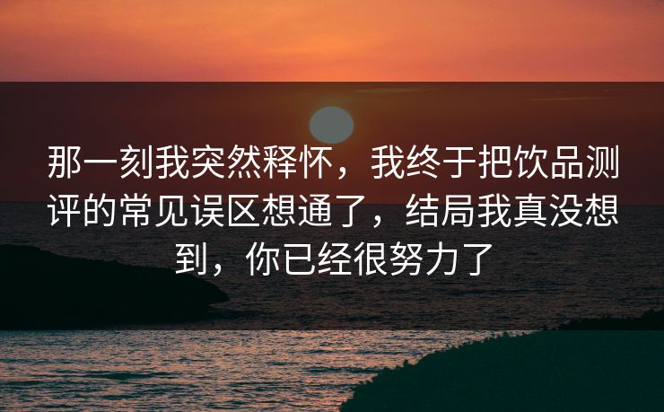 那一刻我突然释怀，我终于把饮品测评的常见误区想通了，结局我真没想到，你已经很努力了