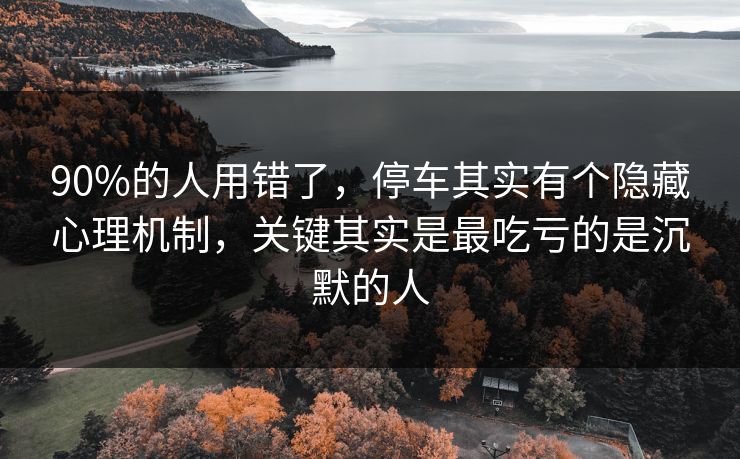 90%的人用错了,停车其实有个隐藏心理机制,关键其实是最吃亏的是沉默的人 第1张 90%的人用错了,停车其实有个隐藏心理机制,关键其实是最吃亏的是沉默的人 第1张